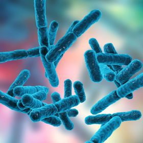 Image of bacteria in gut with magnification