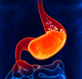 Stomach, red, signifying being full of stomach acid