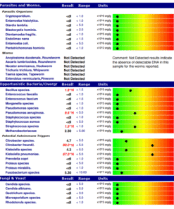 Chart displaying results for Parasites and Worms, Opportunistic Bacteria/Overgrowth, Potential Autoimmune Triggers, and Fungi & Yeast, showing organism names, test results, normal ranges, and units in log scale with colored heatmap bars; most parasites and worms are not detected, some bacteria show elevated levels in red, with specific values in scientific notation per gram of sample.