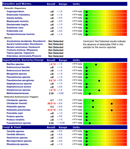Chart displaying results for Parasites and Worms, Opportunistic Bacteria/Overgrowth, Potential Autoimmune Triggers, and Fungi & Yeast, showing organism names, test results, normal ranges, and units in log scale with colored heatmap bars; most parasites and worms are not detected, some bacteria show elevated levels in red, with specific values in scientific notation per gram of sample.