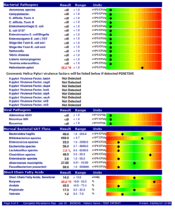 Lab report page showing bacterial pathogens, viral pathogens, normal bacterial gut flora, and short chain fatty acids test results with color-coded bars indicating levels, including elevated Helicobacter pylori and some altered levels in gut flora and fatty acids.