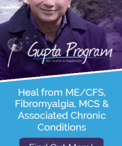 Gupta program flier