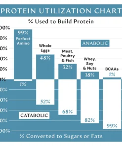 Protein utilization bar chart comparing percentage used to build protein versus percentage converted to sugars or fats for different protein sources: Perfect Amino 99% used, 1% converted; Whole Eggs 48% used, 52% converted; Meat, Poultry & Fish 32% used, 68% converted; Whey, Soy & Nuts 18% used, 82% converted; BCAAs 1% used, 99% converted; Anabolic proteins are on the top half, catabolic on the bottom.
