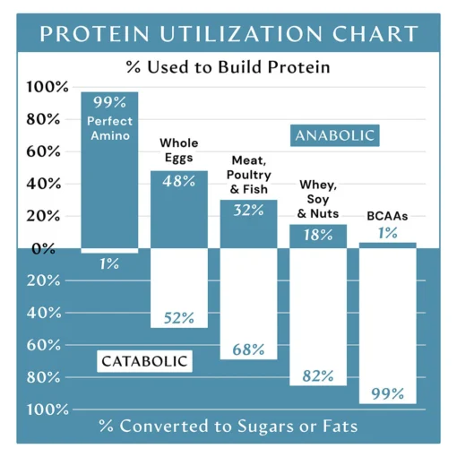 Protein utilization bar chart comparing percentage used to build protein versus percentage converted to sugars or fats for different protein sources: Perfect Amino 99% used, 1% converted; Whole Eggs 48% used, 52% converted; Meat, Poultry & Fish 32% used, 68% converted; Whey, Soy & Nuts 18% used, 82% converted; BCAAs 1% used, 99% converted; Anabolic proteins are on the top half, catabolic on the bottom.