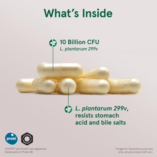 Illustration of several yellow capsules labeled with text highlighting that they contain 10 billion CFU of L. plantarum 299v, a probiotic strain that resists stomach acid and bile salts, with Probi and Lallemand Probiotics logos at the bottom left and a note stating the image is for illustration only and the actual product may vary.