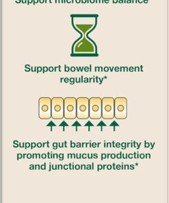 Informational graphic titled LP299V In Action explaining that LP299V produces nutrients and signals through immune cells to support microbiome balance, bowel movement regularity, and gut barrier integrity by promoting mucus production and junctional proteins, with accompanying icons, Probi and Lallemand Probiotics logos, and instructions to store in a cool, dry place, made in Canada.