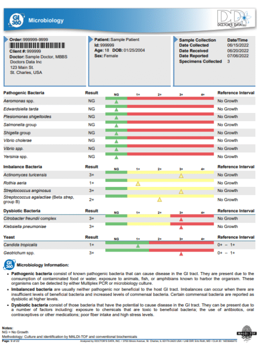 Doctor's Data GI 360 Test Australia - Image 6
