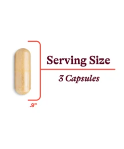 Single beige capsule next to text indicating serving size of 3 capsules and capsule size of 0.9 inches.