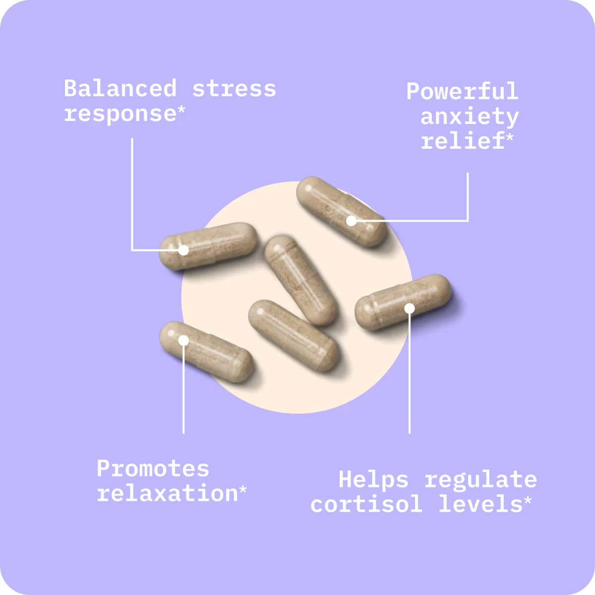BodyBio Calm - 60 caps - Image 3