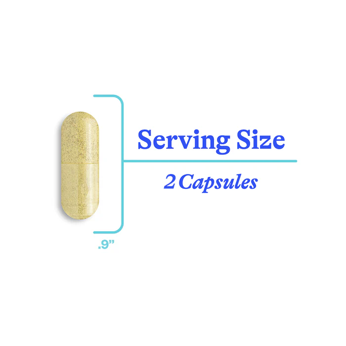 Seeking Health Mast Cell Nutrients - 60 Caps - Image 7