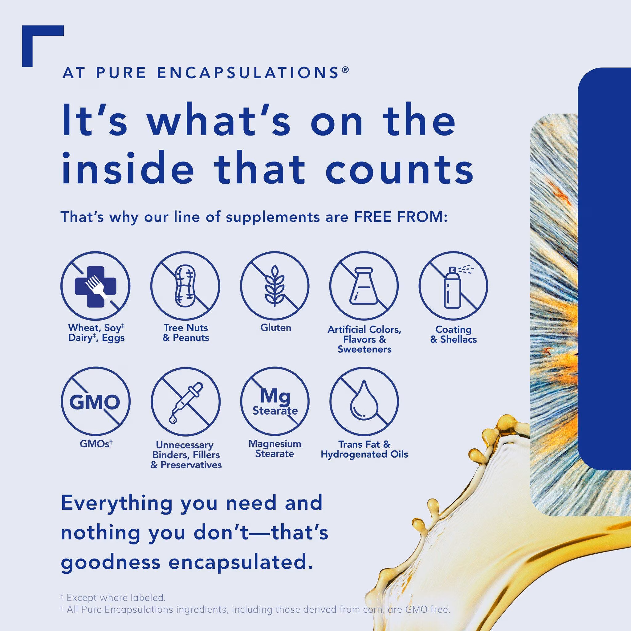 Pure Encapsulations GI Fortify - 400g - Image 3