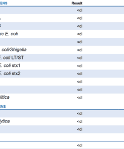 Diagnostic Solutions GI-MAP® Stool Test with Personalised Report - Image 3