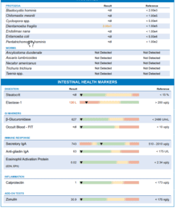 Diagnostic Solutions GI-MAP® Stool Test with Personalised Report - Image 2