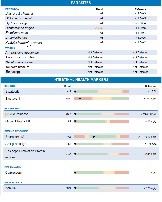 Diagnostic Solutions GI-MAP® Stool Test with Personalised Report - Image 2