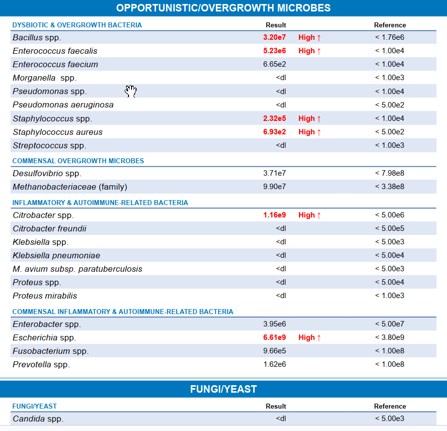 Diagnostic Solutions GI-MAP® Stool Test with Personalised Report - Image 4