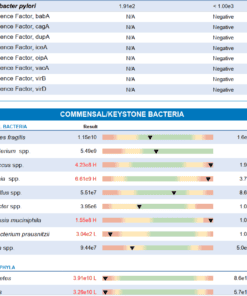 Diagnostic Solutions GI-MAP® Stool Test with Personalised Report - Image 6